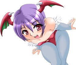 lilith aensland from capcom by toushi ryoku