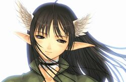 xecty ein from sega by tanaka takayuki