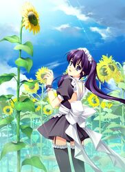 shirakawa tsumire from ar forgotten summer by nanao naru