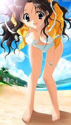shirai yuuri from kakyuusei 2 by kadoi aya