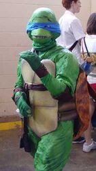 leonardo from teenage mutant ninja turtles