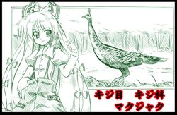 fujiwara no mokou from touhou