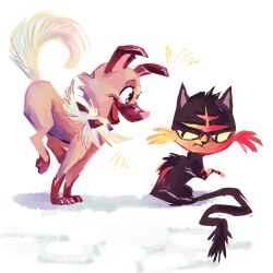 litten from pokemon