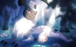 absol from pokemon