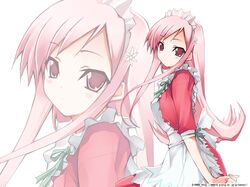 lucy maria misora from to heart 2 by shihira tatsuya