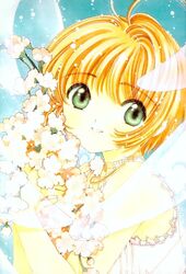 kinomoto sakura from card captor sakura by clamp