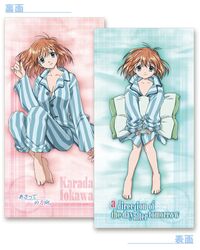 iokawa karada from asatte no houkou