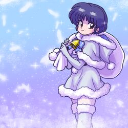 tendou akane from ranma 1/2 by wantan-orz
