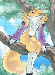 renamon from digimon
