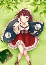 plachta from atelier (series)