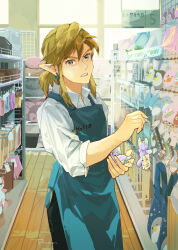 link from the legend of zelda