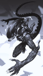 xenomorph from alien (series) by onion maru