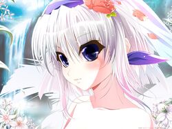 hikawa shizuku from cross ~kyouki e no michi shirube~ by robingi