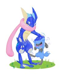 greninja from pokemon