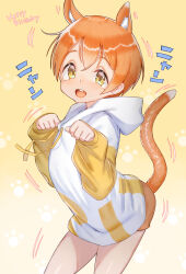 hoshizora rin from love live! by kajichan