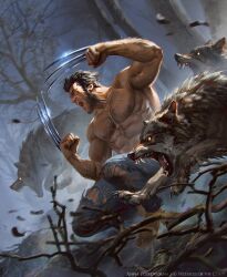 wolverine (x-men) from marvel by akreon