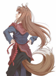 holo from spice and wolf