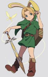 link from the legend of zelda