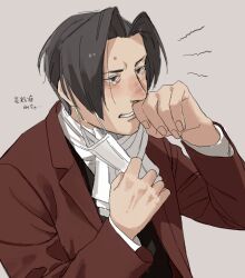 miles edgeworth from ace attorney