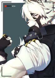 von lycaon from zenless zone zero