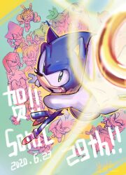amy rose from sonic (series)