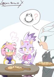amy rose from sonic (series)