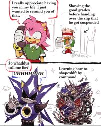 amy rose from sonic (series)