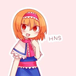 alice margatroid from cookie (touhou)
