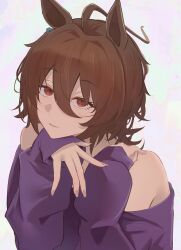 agnes tachyon (umamusume) from umamusume