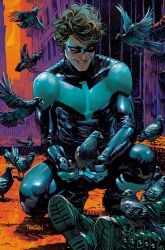 dick grayson from batman (series)