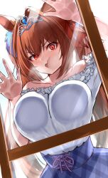 daiwa scarlet (umamusume) from umamusume