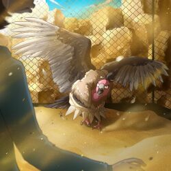 hilbert (pokemon) from pokemon