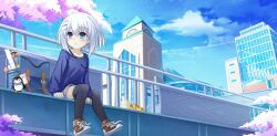 tobiichi origami from date a live