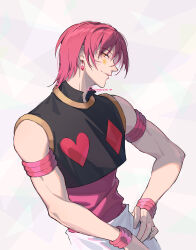 hisoka morow from hunter x hunter