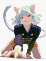 neferpitou from hunter x hunter