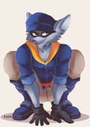 sly cooper from sly cooper (series)