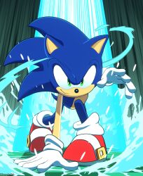 sonic the hedgehog from sonic (series)