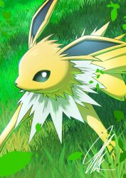 jolteon from pokemon