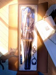 hatsune miku from vocaloid