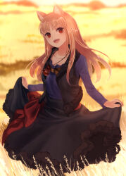 holo from spice and wolf by amayoshi
