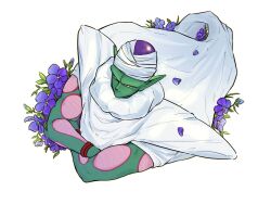 piccolo from dragon ball