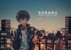 soraru fan art
