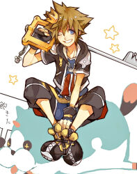 sora (kingdom hearts) from kingdom hearts