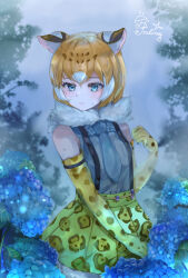 kemono friends fan art