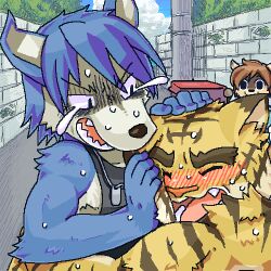 kouya aotsuki from morenatsu by chinami