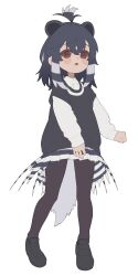 crested porcupine (kemono friends) from kemono friends
