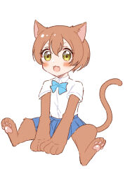 hoshizora rin from love live!