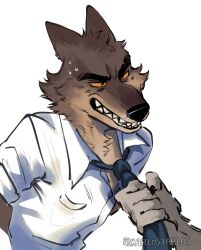 mr. wolf from the bad guys (film)