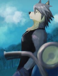 kouya aotsuki from morenatsu