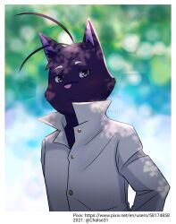 shin kuroi from morenatsu